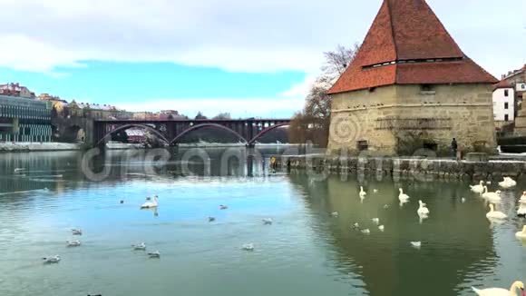斯洛文尼亚马里博尔的德拉瓦河上中世纪水塔旧州桥和天鹅的风景4段录像视频的预览图