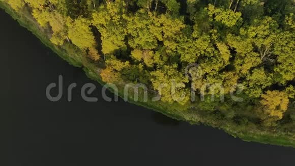 黑河弯道的顶部景色河岸上有一片风景如画的秋绿色森林视频的预览图