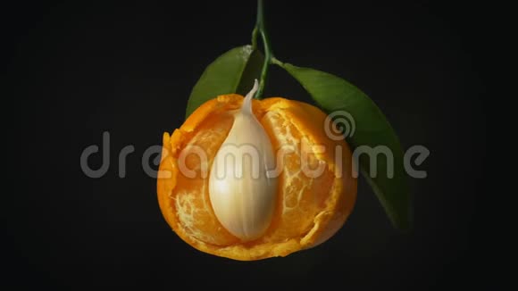 橙和大蒜视频的预览图