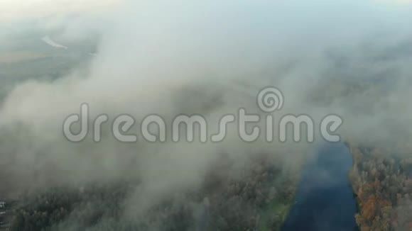 低矮的云层覆盖着一片常绿的森林和一条河流丛林上空的雾视频的预览图