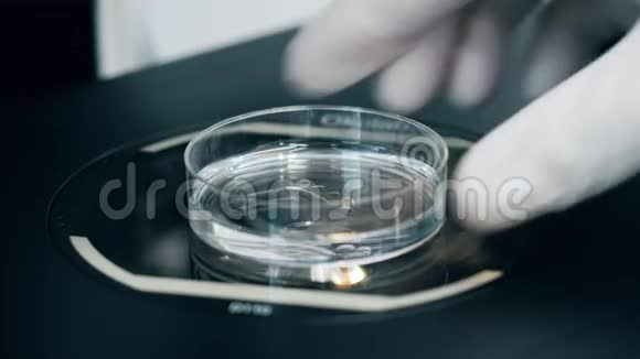 人与显微镜和细胞在培养视频的预览图