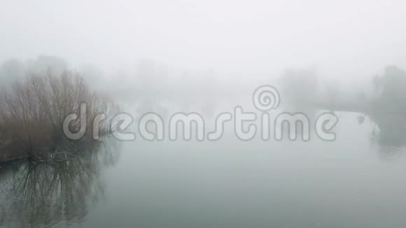 雾中的神秘湖泊电影胶片视频的预览图