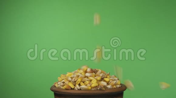 玉米粒掉进一个拥挤的泥碗里然后从里面掉了出来隔离在绿色屏幕上视频的预览图