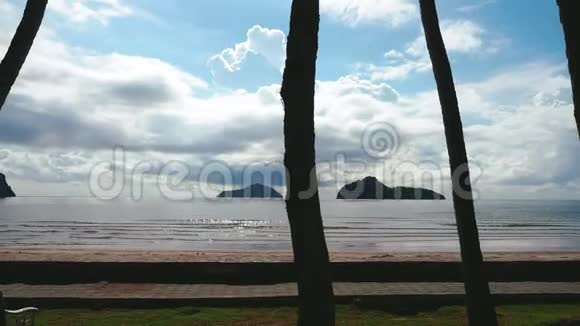 高的椰子树和白天明亮的阳光4UHDK视频的预览图