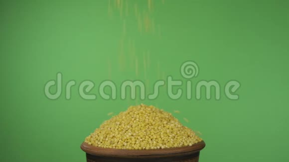 小米粒落在拥挤的陶土碗里从里面掉出来孤立在绿色屏幕上视频的预览图