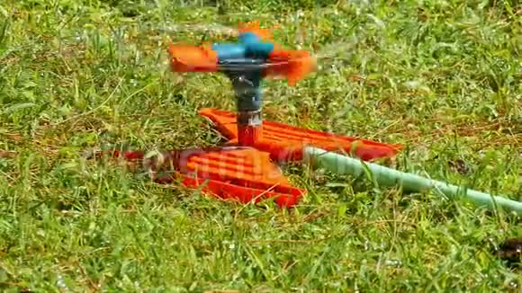 草坪洒水在绿草上喷水灌溉系统视频的预览图