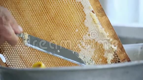 养蜂人在蜂巢上方的框架中检查蜂窝视频的预览图
