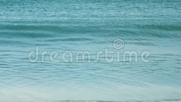 蔚蓝的海浪翻滚在麦考海滩的岸边视频的预览图