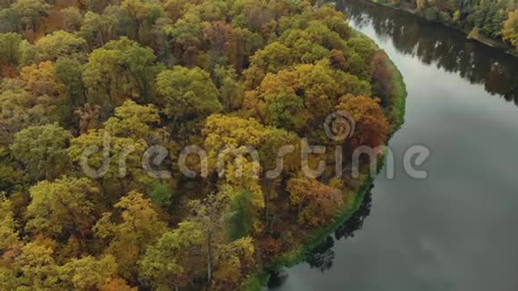 鸟瞰五颜六色的树木反映在河里飞越秋冠多色视频的预览图