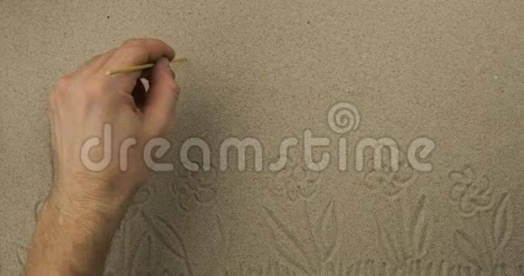 用棍子在沙子上画画许多盛开的雏菊花在太阳和鸟类的背景上象征性绘图视频的预览图