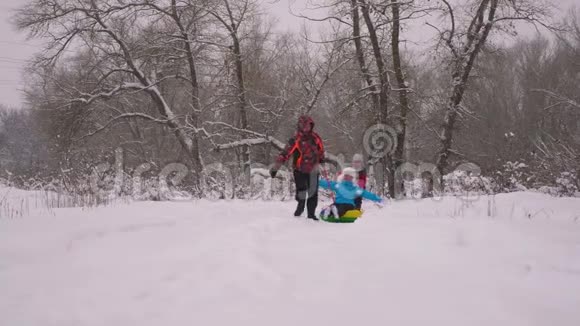爸爸和女儿在下雪的冬天的森林里雪橇着他们的妈妈快乐的父母和婴儿在圣诞公园玩耍家庭视频的预览图