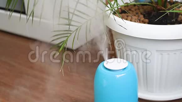 蓝色箱子里的加湿器在房间里以增加植物和人的湿度和健康的后续行动视频的预览图