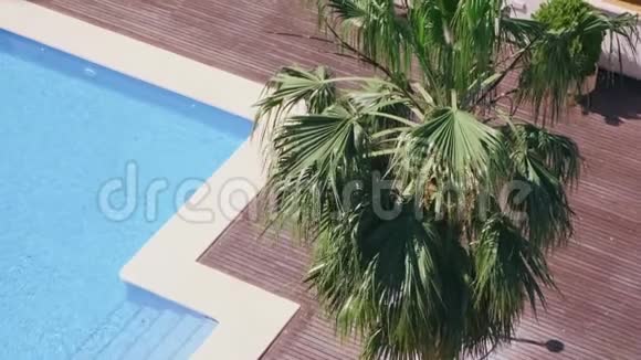 蓝绿色游泳池的水晴天从上面的绿棕榈树和棕木露台视频的预览图