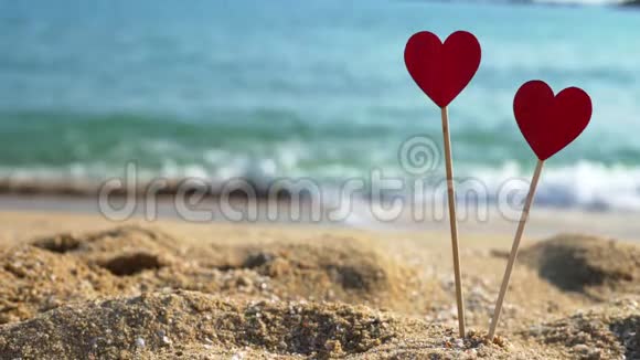 沙滩上大海背景上两颗美丽的木心视频的预览图