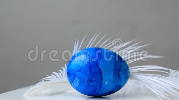 彩色蓝鸡蛋在白色蓬松的鸵鸟羽毛下复活节的概念视频的预览图