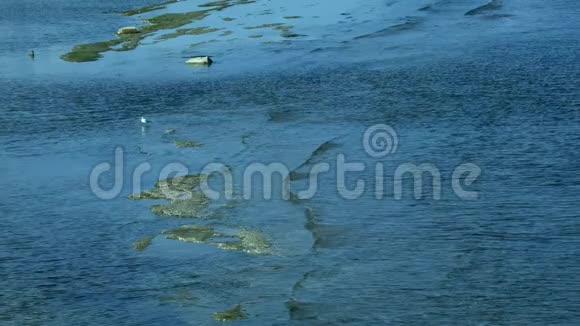 海洋珊瑚礁景观和海岸海岸浪涌海岸视频的预览图