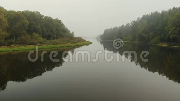 一条雾蒙蒙的河流的空中景观在丛林中的绿树映在水中视频的预览图