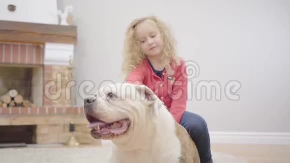 白色和棕色牛头犬和漂亮的白种人小女孩的特写镜头孩子和她的动物一起休息视频的预览图