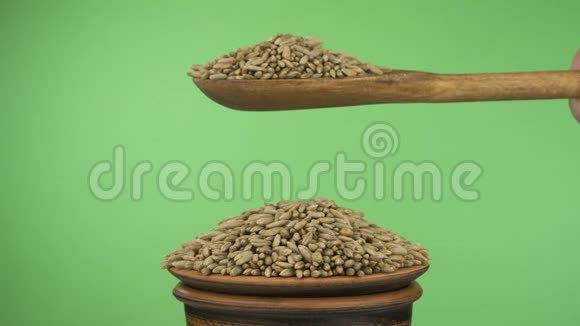 动作缓慢黑麦粒从一个木勺上得到足够的睡眠在一堆种子在一个粘土碗视频的预览图