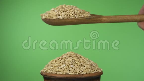动作缓慢珍珠大麦颗粒从一个木勺上得到足够的睡眠在一堆泥土碗里的种子视频的预览图