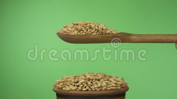 动作缓慢大麦谷物从一个木勺上得到足够的睡眠在一堆泥土碗里的种子视频的预览图