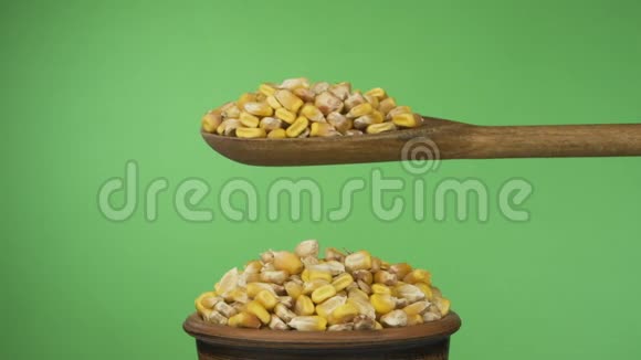 慢动作玉米粒可以在泥碗里的一堆种子上用木勺获得足够的睡眠视频的预览图