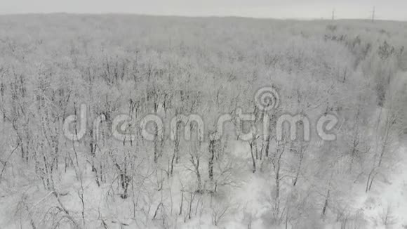 冬季雪空中森林顶部景观视频的预览图
