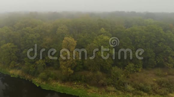 空中早晨在雾中的秋林在河边视频的预览图