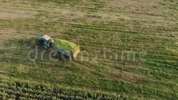 拖车里放着一种青贮饲料的拖拉机骑着一块刚刚播种的农村玉米地视频的预览图