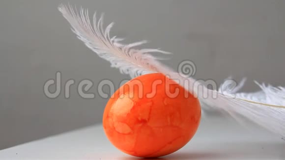彩色橘黄色的鸡蛋在白色蓬松的鸵鸟羽毛下复活节的概念视频的预览图