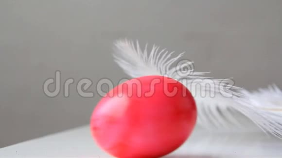彩红鸡蛋躺在白色蓬松的鸵鸟羽毛下复活节的概念视频的预览图