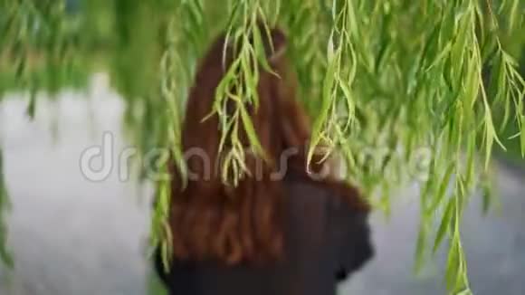 一位年轻女子穿过柳叶的实时照片视频的预览图