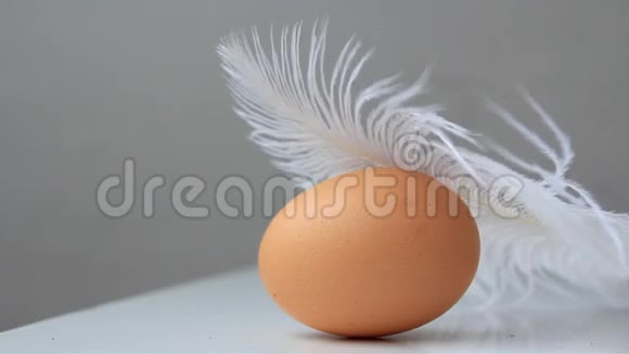 深棕色的母鸡蛋里覆盖着白色的绒毛复活节的概念视频的预览图