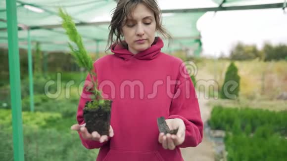 美丽的年轻女子花店企业主是一个正在生长的绿色植物和干燥的树枝生与死视频的预览图