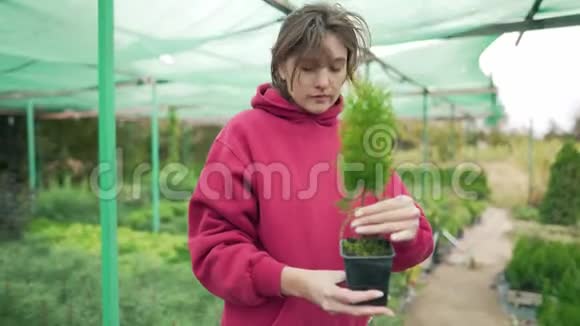 女花匠在室外的温室里检查一棵美丽的青苗植物学植物的控制与研究视频的预览图