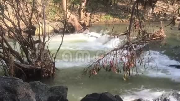 流经嘉盛茂物皇后西里基特森林公园岩石的水流视频的预览图