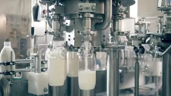 巴氏杀菌牛奶被机械地倒入瓶子里视频的预览图
