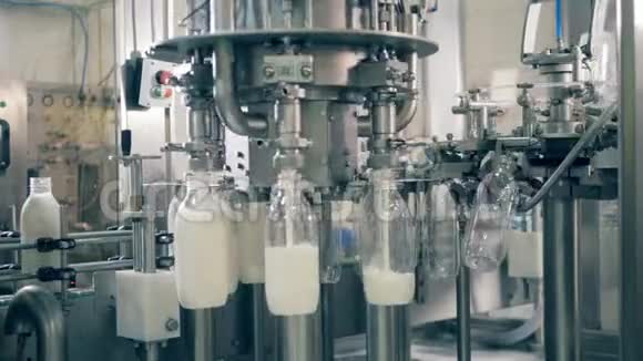 透明的瓶子被工厂的综合体装满了牛奶工业工厂设备视频的预览图