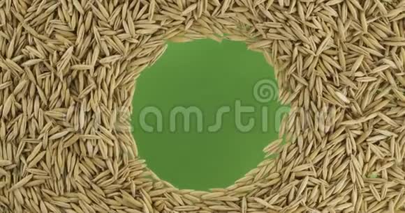 燕麦颗粒的旋转分散在一个圆圈中中间有空间上景视频的预览图
