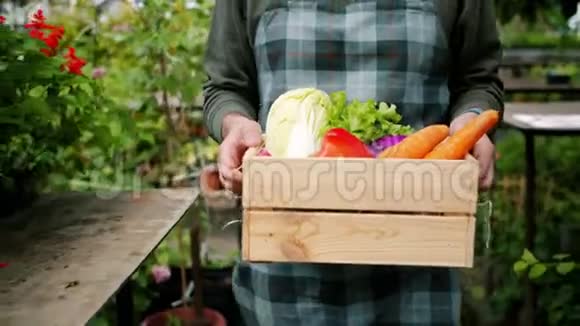 穿着围裙的农民带着有机蔬菜的木箱的男子倾斜镜头视频的预览图
