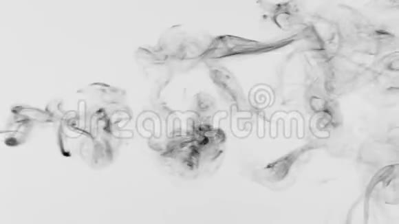 白色背景上的一行黑烟白色背景上优雅的曲折视频的预览图