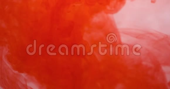 红色颜料墨水滴在白底的水中墨云在水下流动抽象孤立云烟视频的预览图