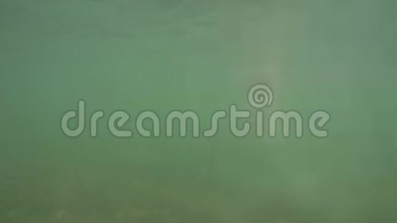 戴着眼镜的长头发的白人女孩在泥泞的大海中游泳拍摄视频的预览图