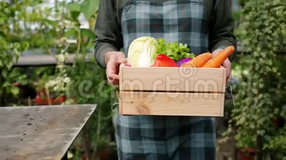 在温室里雄性手举着木制蔬菜盒视频的预览图