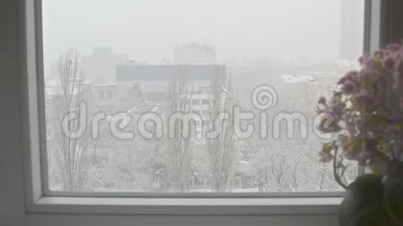 一座城市公寓的窗户外意外的降雪视频的预览图