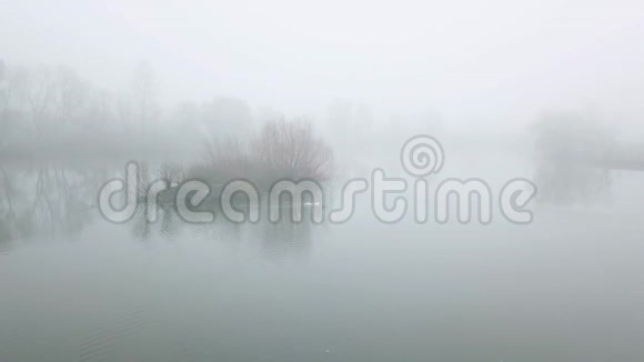 雾中的神秘湖泊电影镜头湖上的野鸟视频的预览图