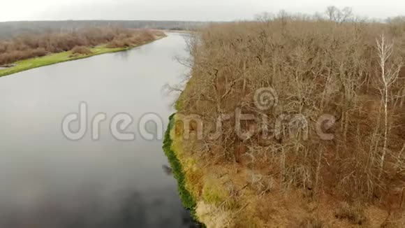 美丽的秋景光秃秃的树倚在水面上和平与安宁的概念视频的预览图