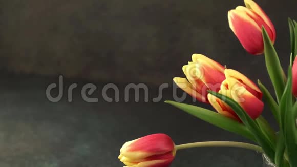 美丽的红色黄色郁金香花束视频的预览图