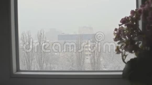 一座城市公寓的窗户外意外的降雪视频的预览图