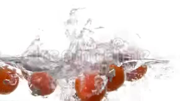 白色背景的水中番茄视频的预览图